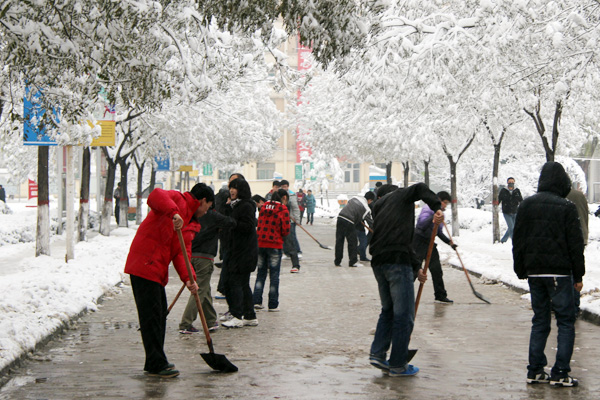 金沙威尼斯欢乐娱人城学生积极开展义务劳动清扫积雪